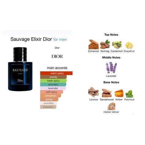 alan dior savuge|dior sauvage cologne top notes.